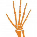 radiomed icono Radiografía Carpal_Mesa de trabajo 1